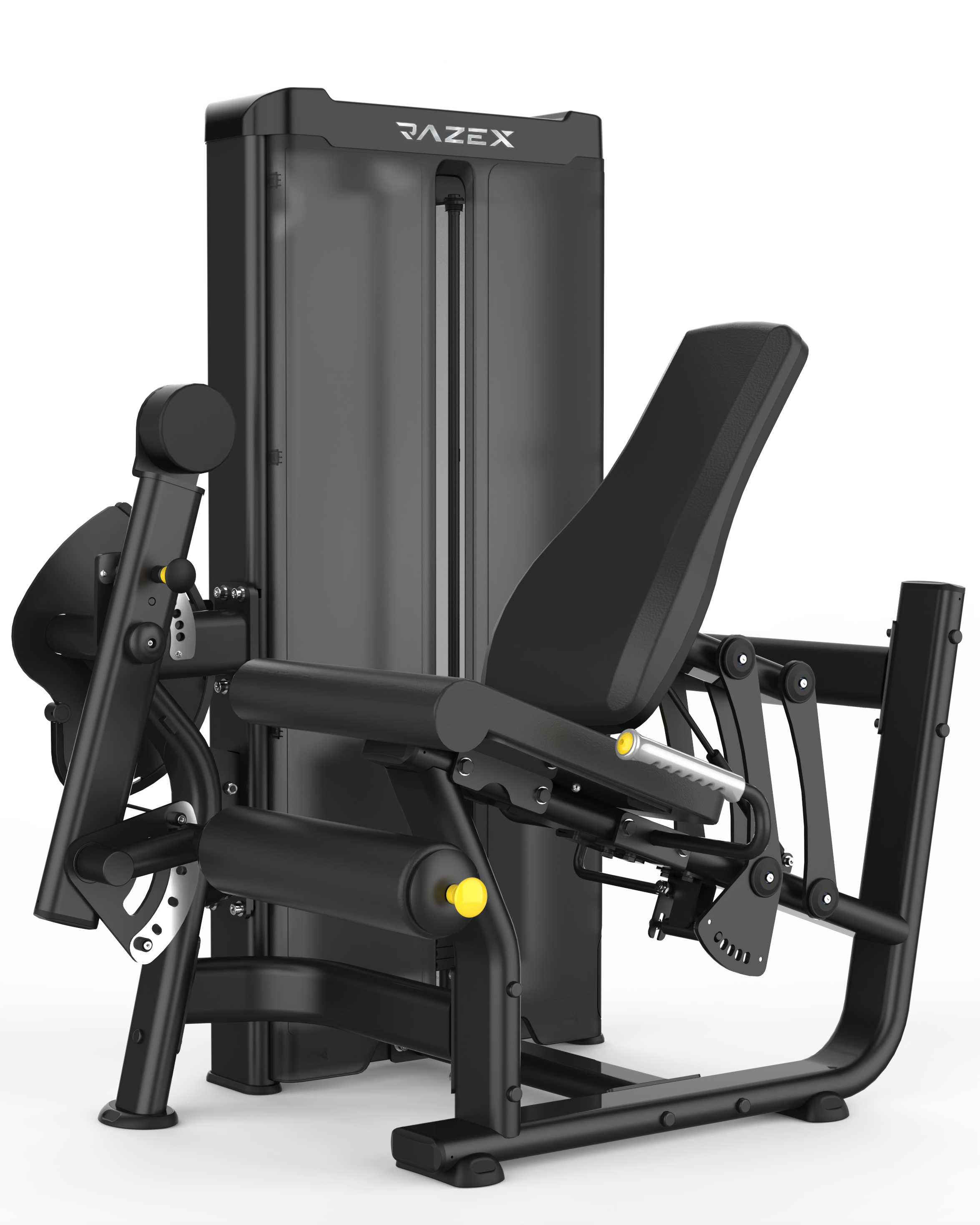 Leg Extension